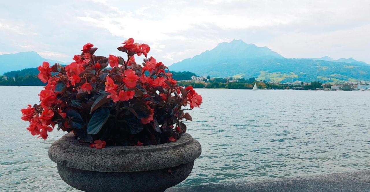 Priv. Apartment Bei Swiss Holiday Park Morschach Buitenkant foto