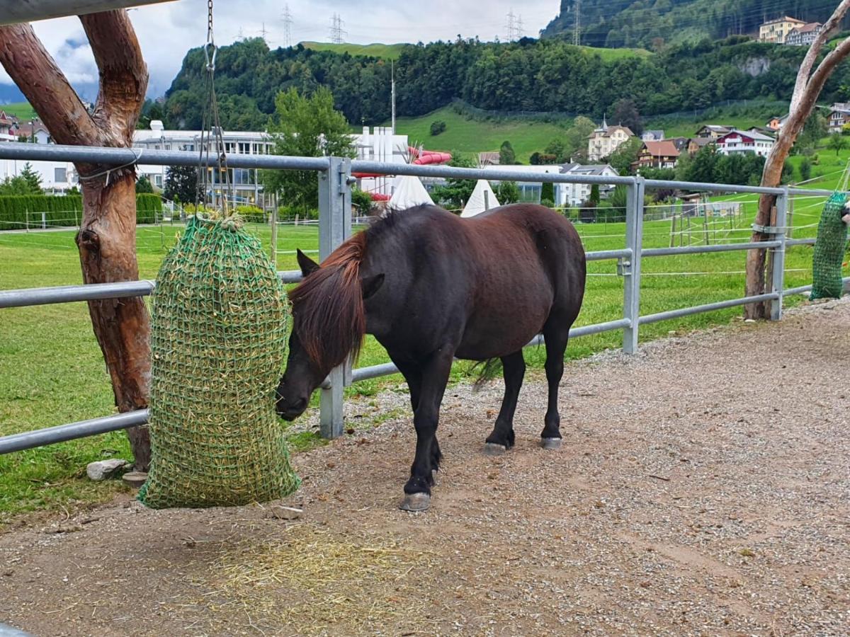 Priv. Apartment Bei Swiss Holiday Park Morschach Buitenkant foto